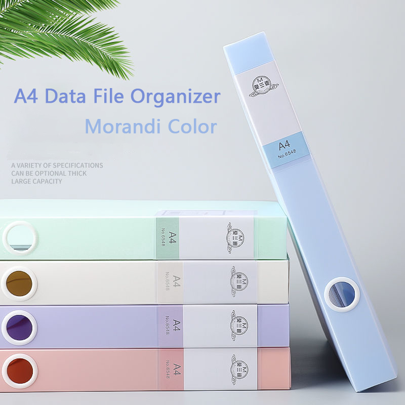 Binder Storage Box - A4 Morandi renk verileri dosya düzenleyici